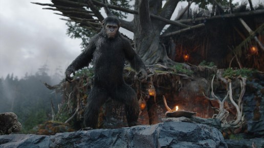 What's smarter than a talking ape? A spelling bee!