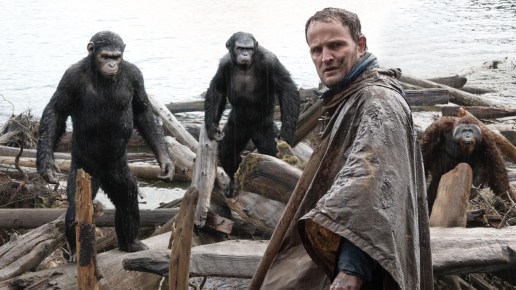 There's no monkeying around on this set!