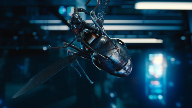 He's got serious 'sects appeal!