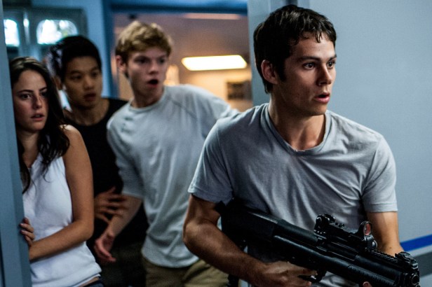 'We're ready for the next level ... right?'