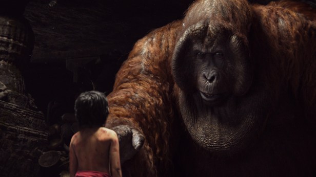 'Stop monkeyin' around, kid!'