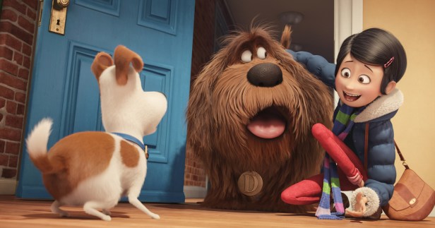 'This is gonna be ruff!'